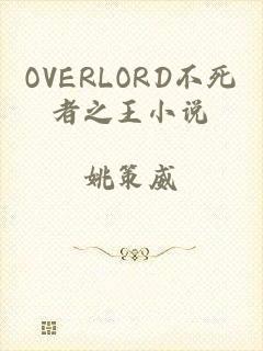 OVERLORD不死者之王小说