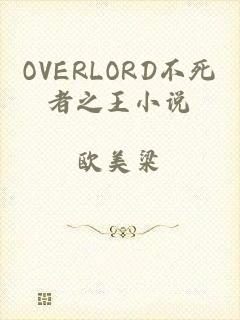 OVERLORD不死者之王小说