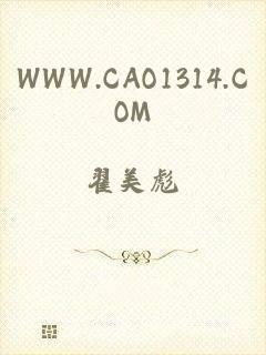 WWW.CAO1314.COM