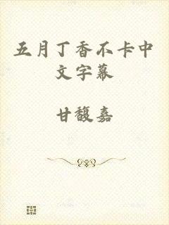 五月丁香不卡中文字幕