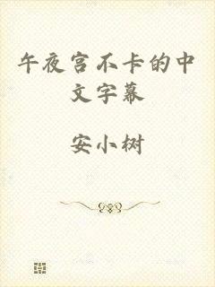 午夜宫不卡的中文字幕