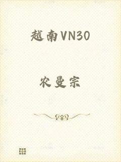 越南VN30