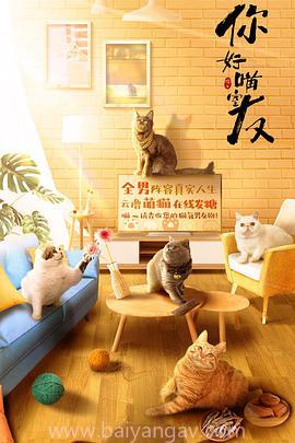 新猫和老鼠第一季中文字幕百度云下载